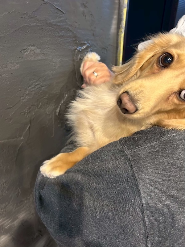 施工事例イメージ