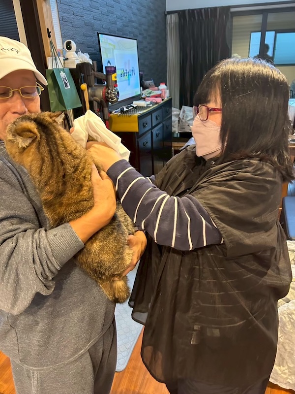 施工事例イメージ